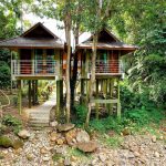 Jungle Hut River View in Khao Sok.