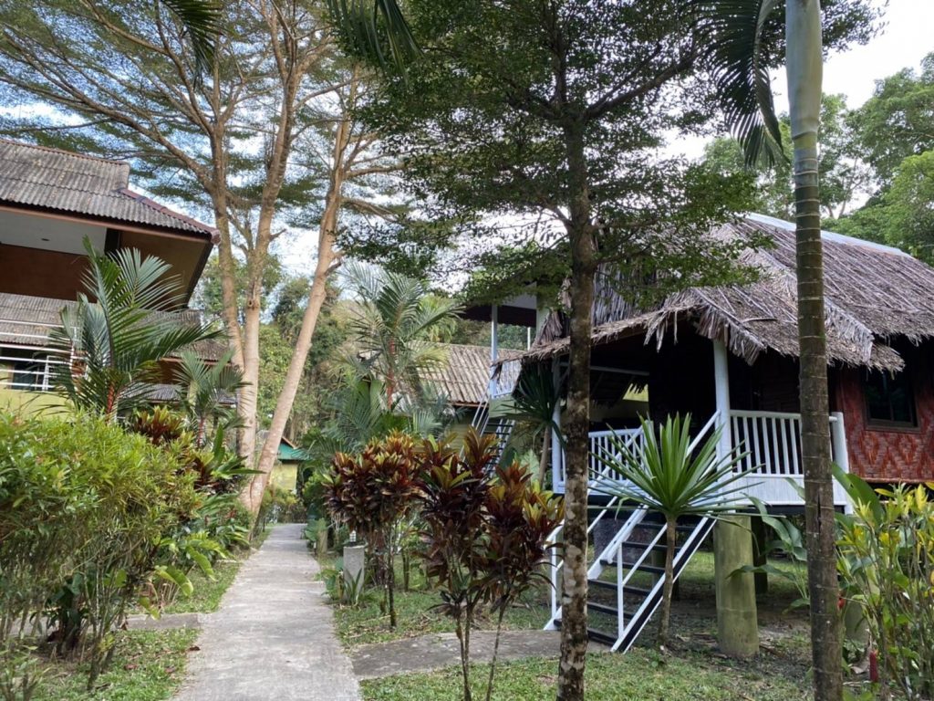 Bambu Hut in Khao Sok.