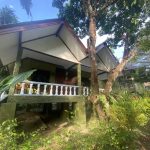 Family & Friend Garden View in Khao Sok.