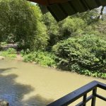 Jungle Hut River View in Khao Sok.