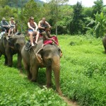 khao-sok-jungle-huts-elephant-trek