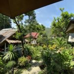Khao Sok Jungle Huts Property View.