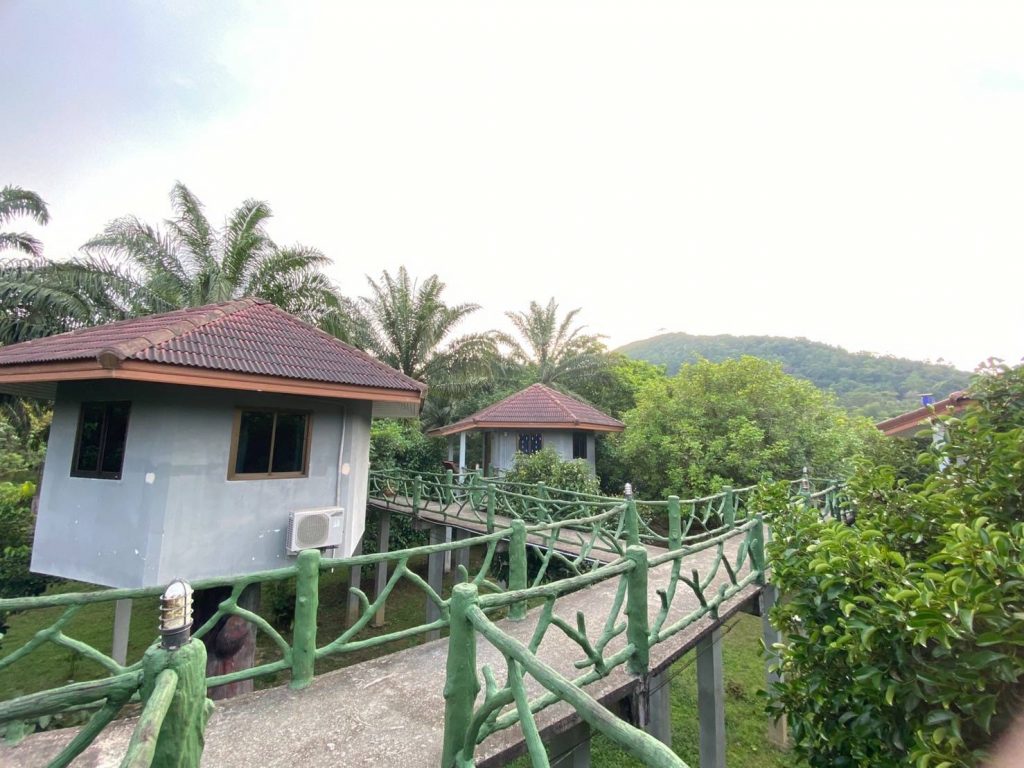 Standard Mountain View Bungalow in Khao Sok.